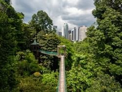 Kuala Lumpur Forest Eco Park near St Giles Boulevard