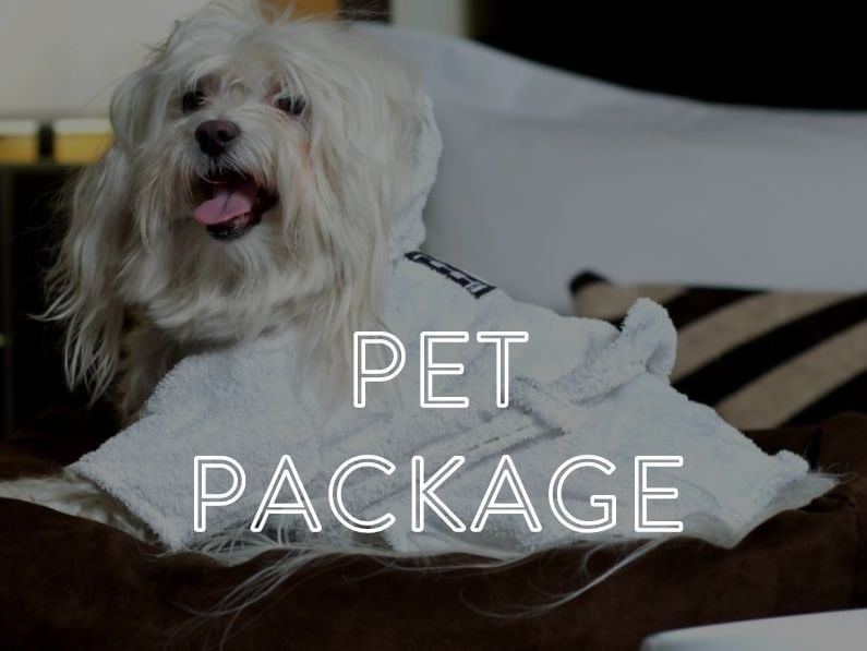 VIP Pet Package  Hotel Offers at the Empire Hotel New York