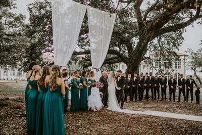 An outdoor wedding ceremony under a large oak tree with a white fabric arch, and a bridal party at Centennial Plaza Resort