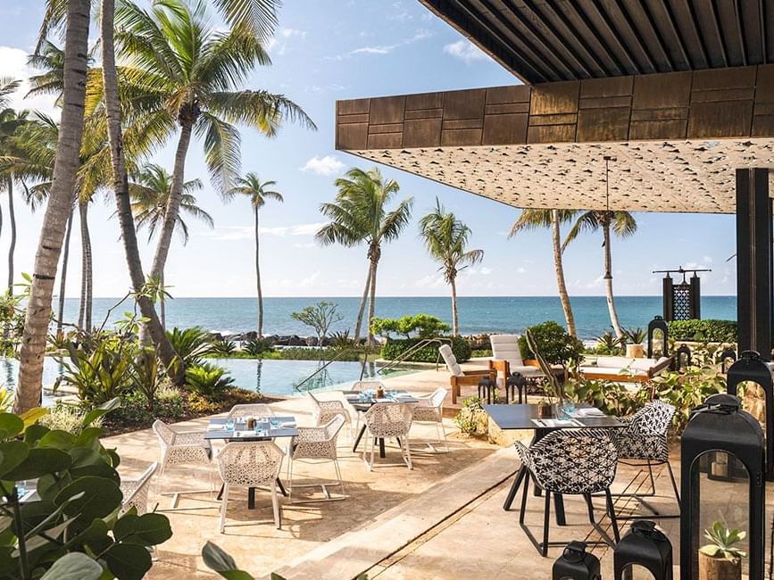 Positivo Sand Bar at Dorado Beach Resort