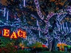 Christmas decorations at night with lights at La Galerie Hotel