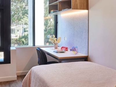 7 or 8 Bedroom Shared Apartment