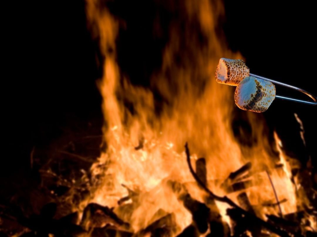 Bonfire with smores