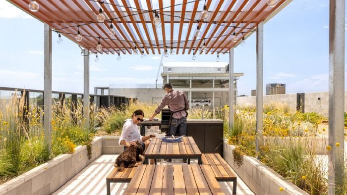 Rooftop BBQ area with wooden pergola, picnic tables, and grill surrounded by native grasses at Swift Walk, Kensington