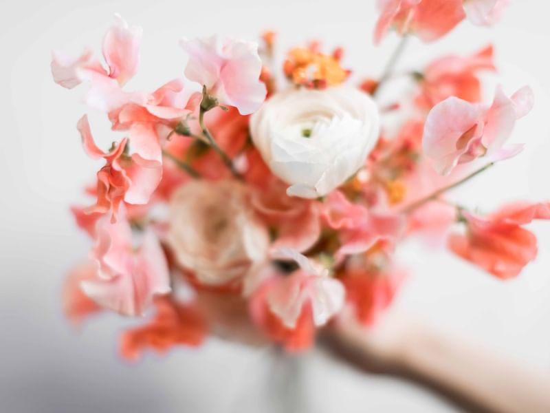 A beautiful bouquet of pink and white flowers, representing the Romantic Getaway Package at El Prado Hote