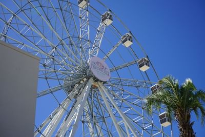 Low angle view of the Biloxi Tide Turner at Margaritaville Resort Biloxi against a clear blue sky day