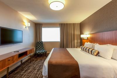 King bed, accent chair and wall mounted TV.
