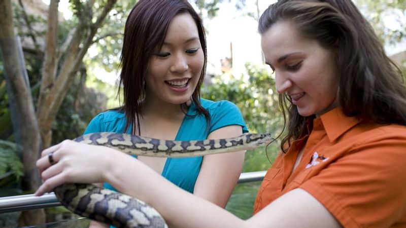Wild Life Sydney Zoo
