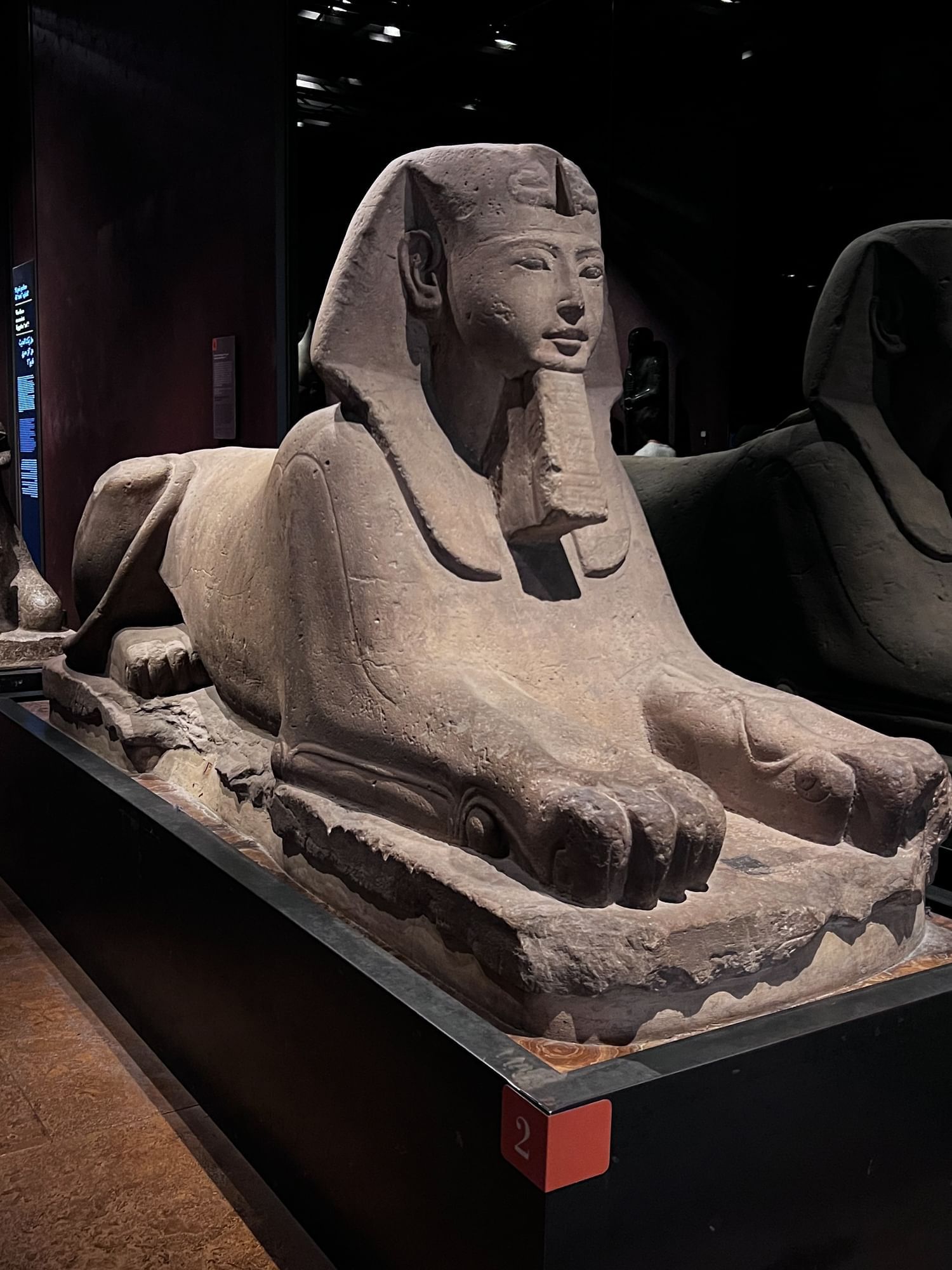 Musée égyptien, choses à faire à Turin avec des enfants