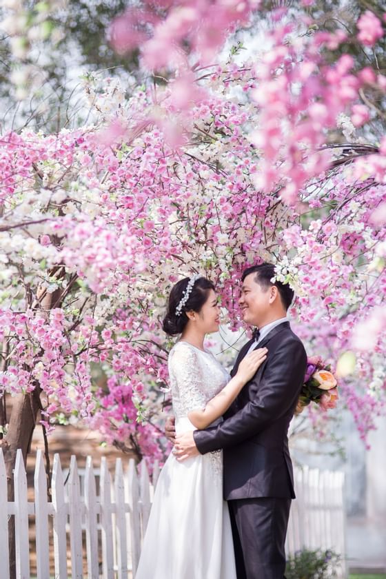 A couple posing by a flower tree at The Federal Kuala Lumpur
