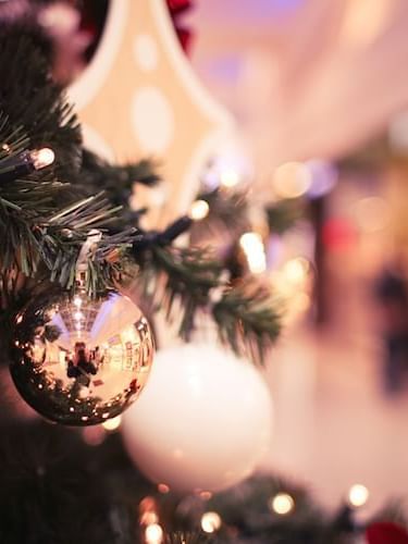 Things to do in chritsmas at the Sebel Residence Chatswood