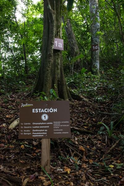 Estacion Sendero