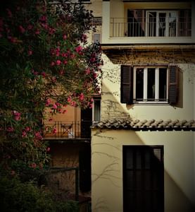 A building with a bunch of flowers growing on the side of it near Rome Luxury Suites