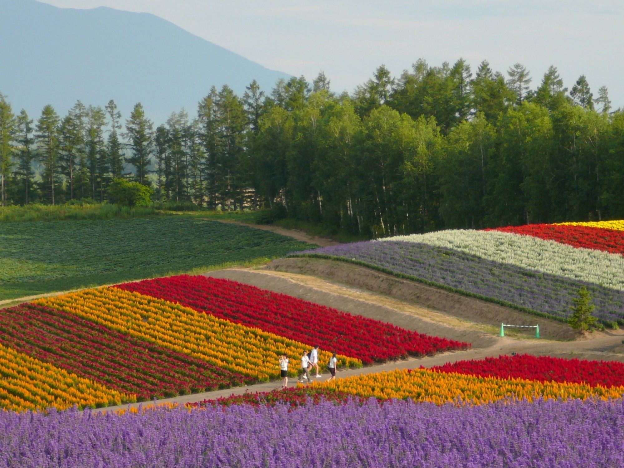Shikisai-no-Oka | Grand Park Otaru