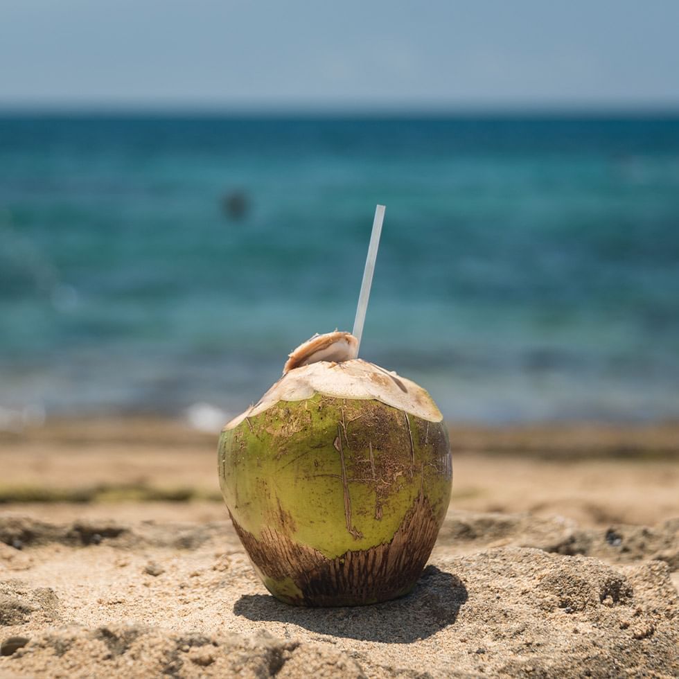 Close-up of a coconut on the beach near Falkensteiner Hotels