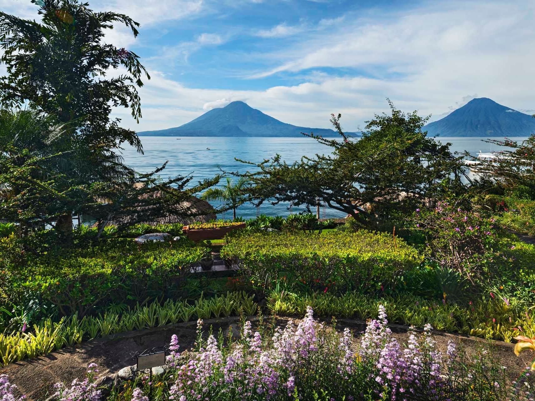 Garden with mountain and lake view near Hotel Atitlan