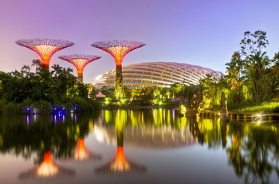 Long shot of the Gardens By The Bay near Goodwood Park Hotel