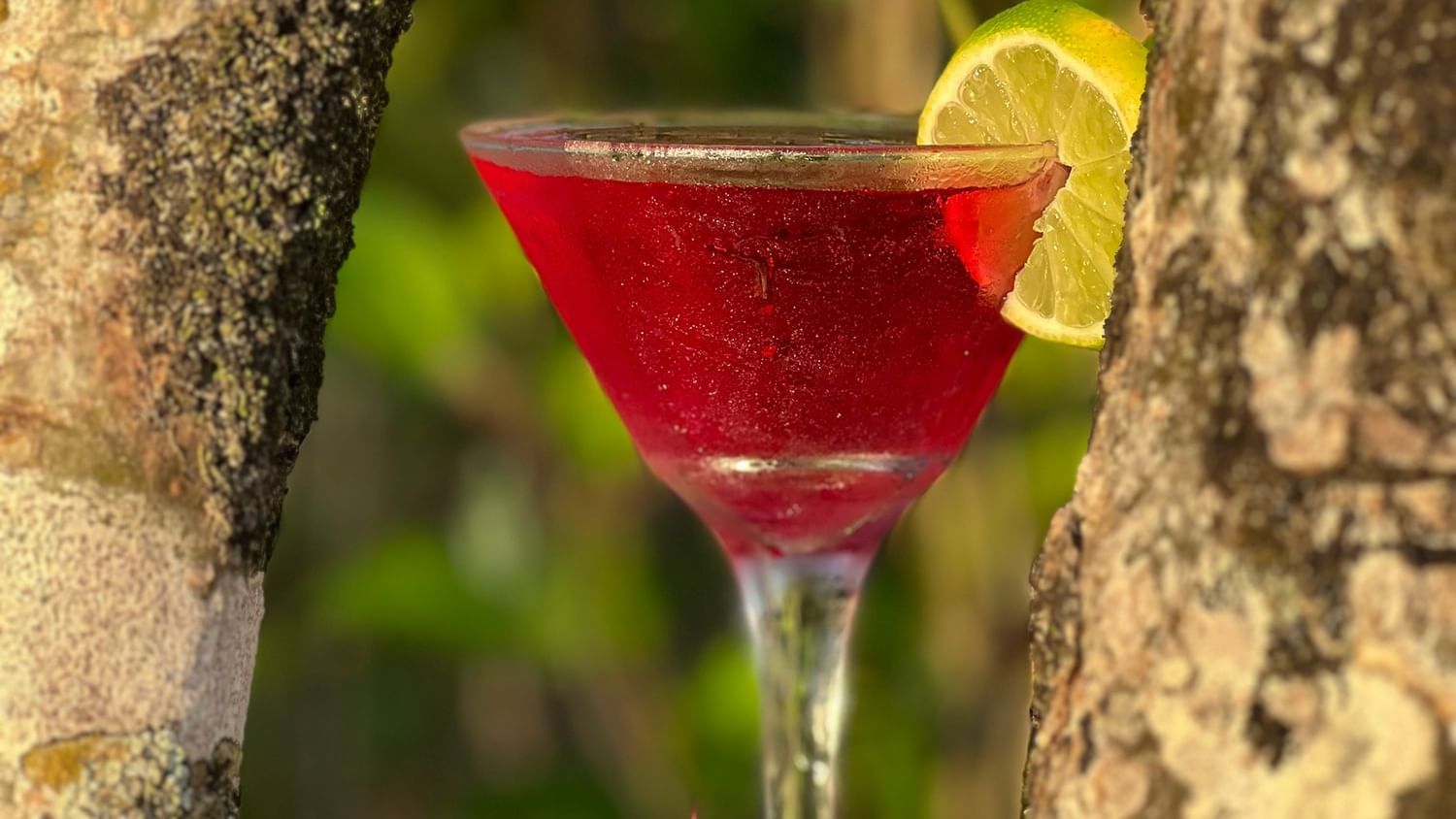 A red cocktail with a lemon slice in a martini glass in the Lobby Bar at Warwick Le Lagon - Vanuatu, Efate