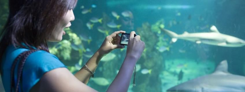 Women taking photos in Sea Life Aquarium near Novotel Melbourne