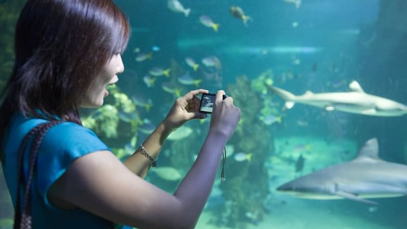 Women taking photos in Sea Life Aquarium near Novotel Melbourne