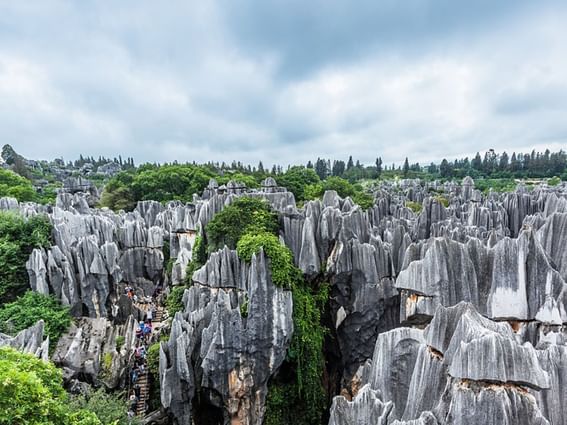 Stone Forest National scenic area near Park Hotel Group