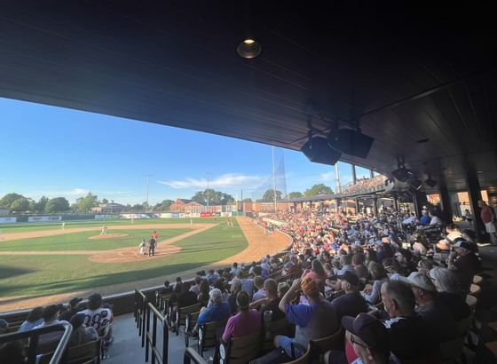 The crowd in Loeb Stadium near The Whittaker Inn