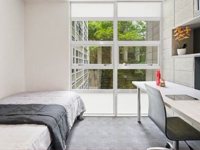 Bedroom with bed, desk, chair, and large window at Student Living Auckland - Beach.