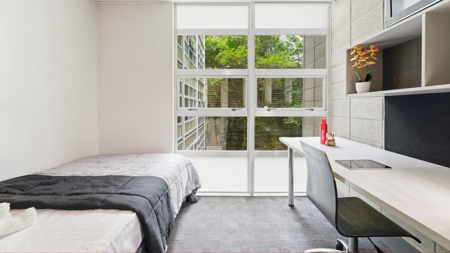 Bedroom with bed, desk, chair, and window at Student Living Auckland Beach.