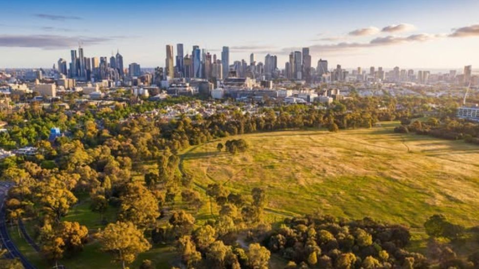 Student Guide to Parkville Blog