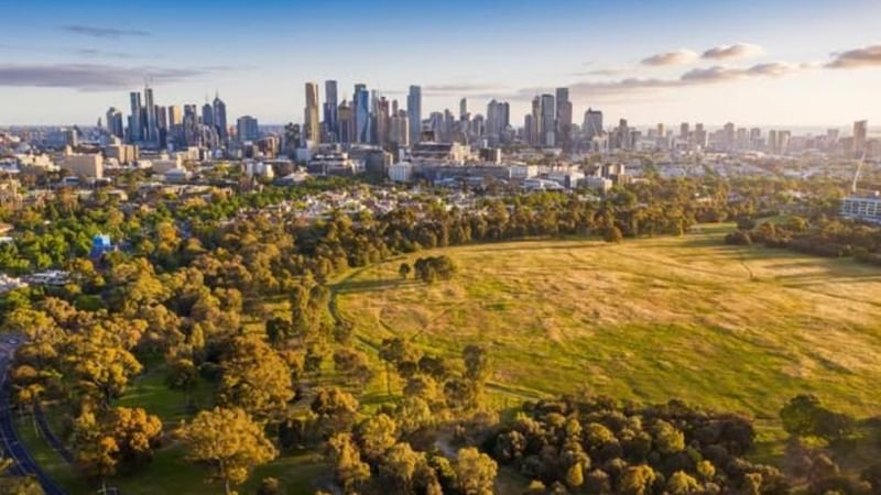 Student Guide to Parkville Blog