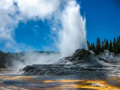 Old Faithful