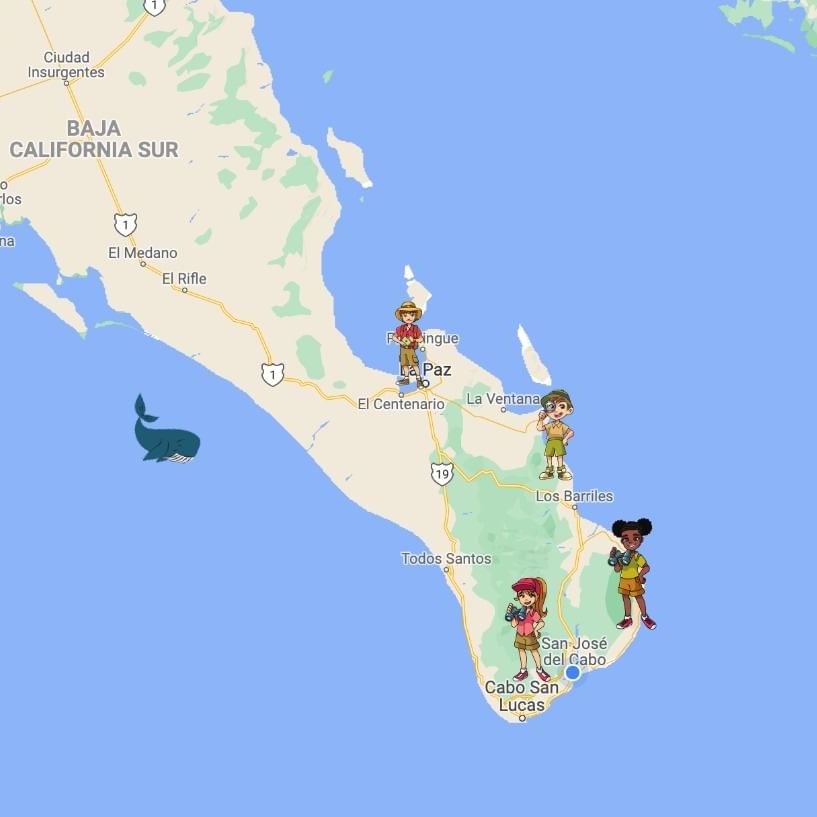 Cabos location on the map of Casa Dorada Los Cabos