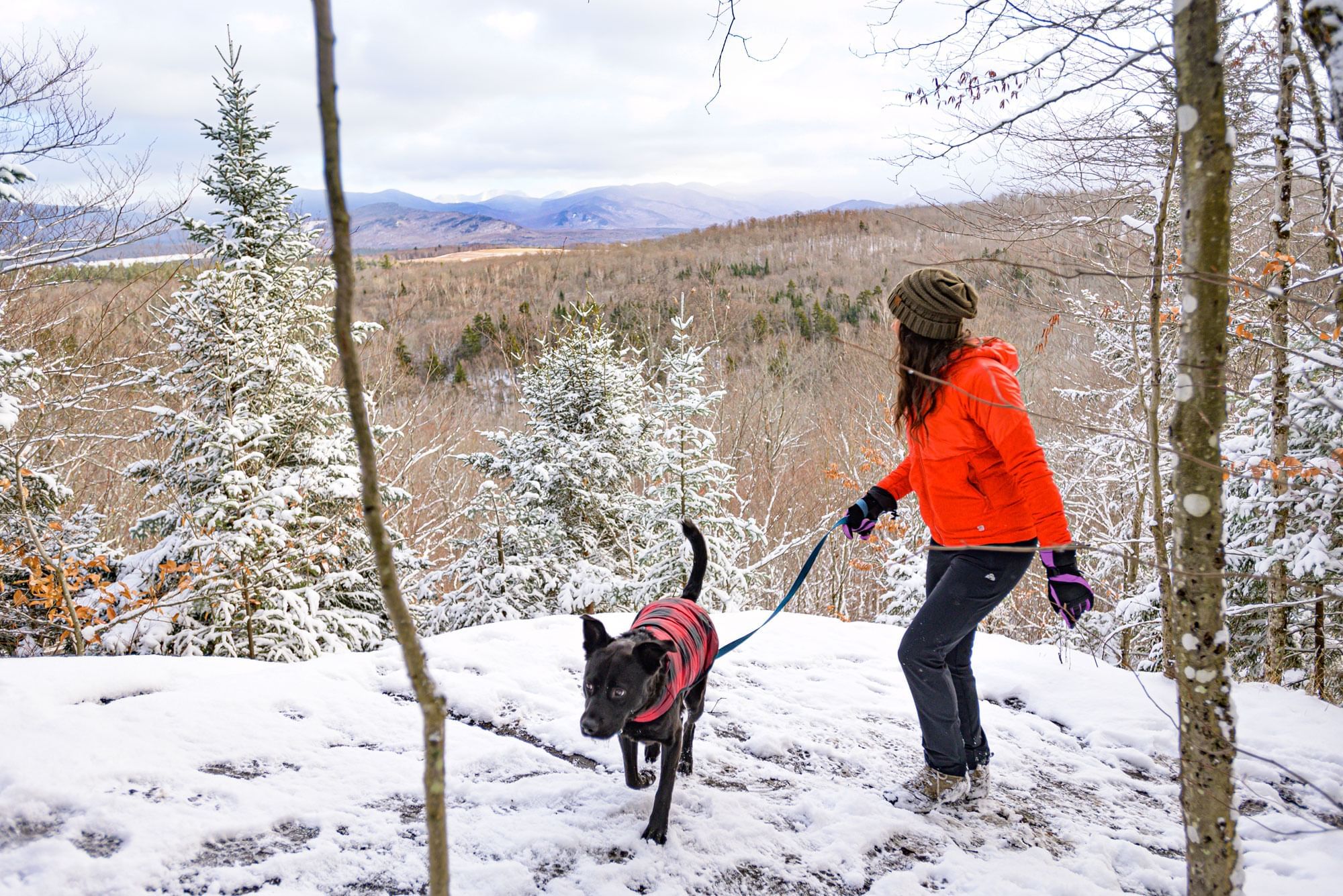 Dog friendly hikes adirondacks best sale