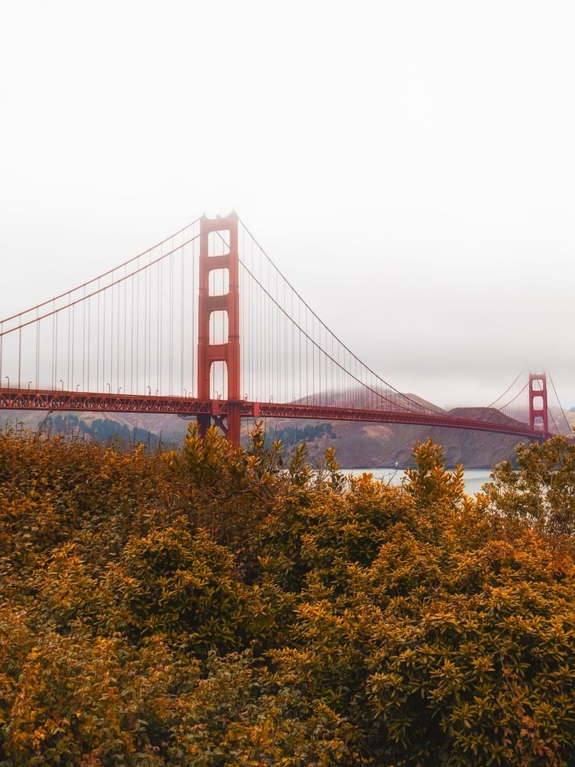 Golden Gate Bridge framed by autumn foliage under overcast skies in San Francisco.