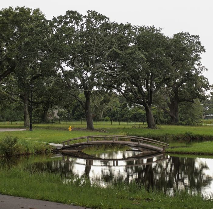 Tranquil walking path with an arched wooden bridge over a reflecting pond framed by oak trees at Centennial Plaza Resort