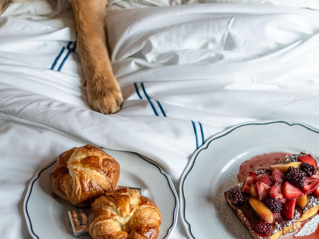 Room service breakfast with croissants and fruit toast on bed next to a dog paw at Gansevoort Meatpacking NYC