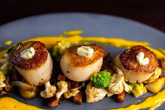Three seared scallops served on a white plate at Stein Eriksen Residences