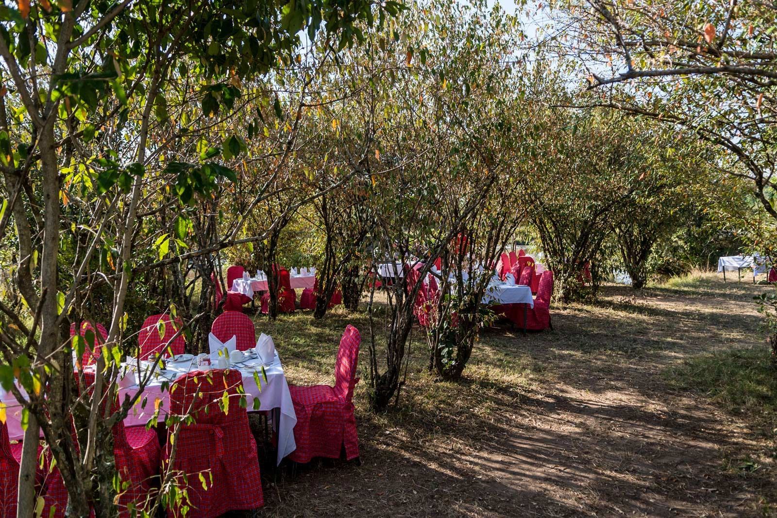 Dining tables placed in the garden at Mara Serena Safari Lodge