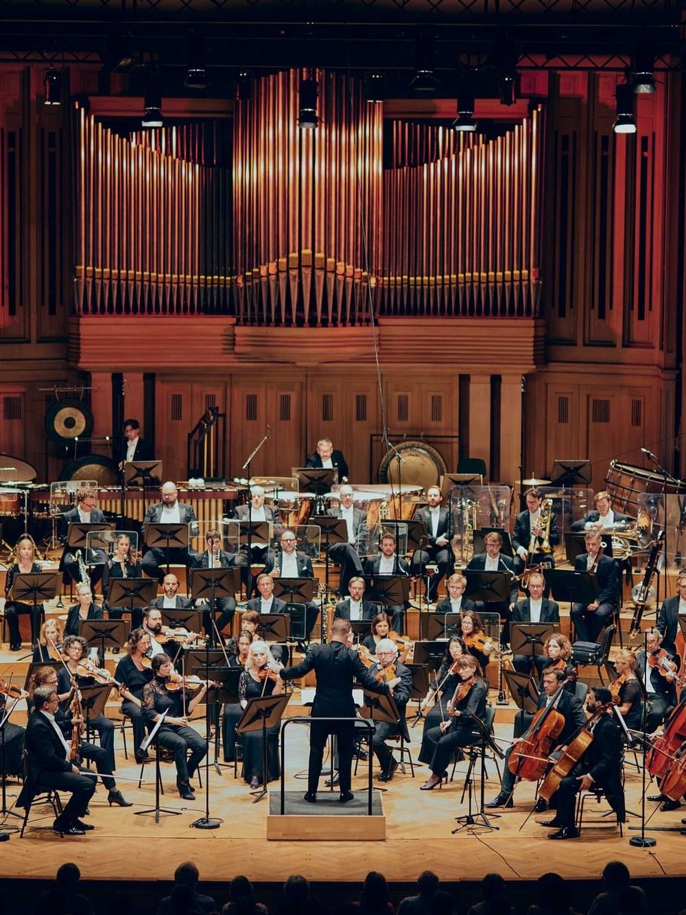 Orchestre symphonique en concert sur scène avec orgue à tuyaux illuminé en arrière-plan dans une salle de spectacle
