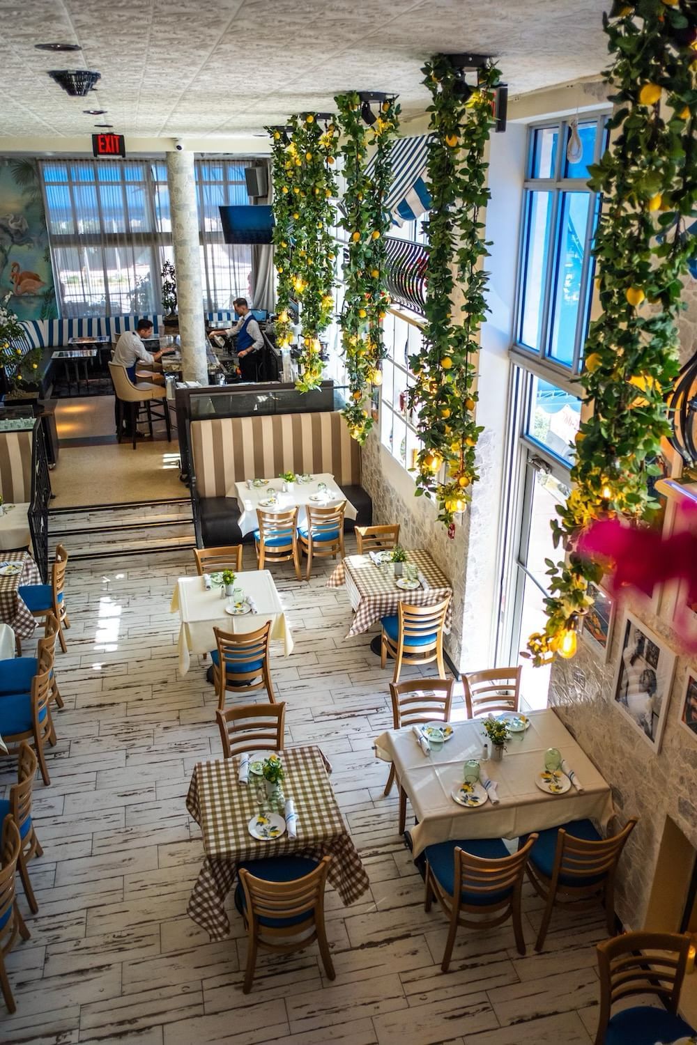 a dining area with tables and chairs, booths, and greenery hanging from the ceiling