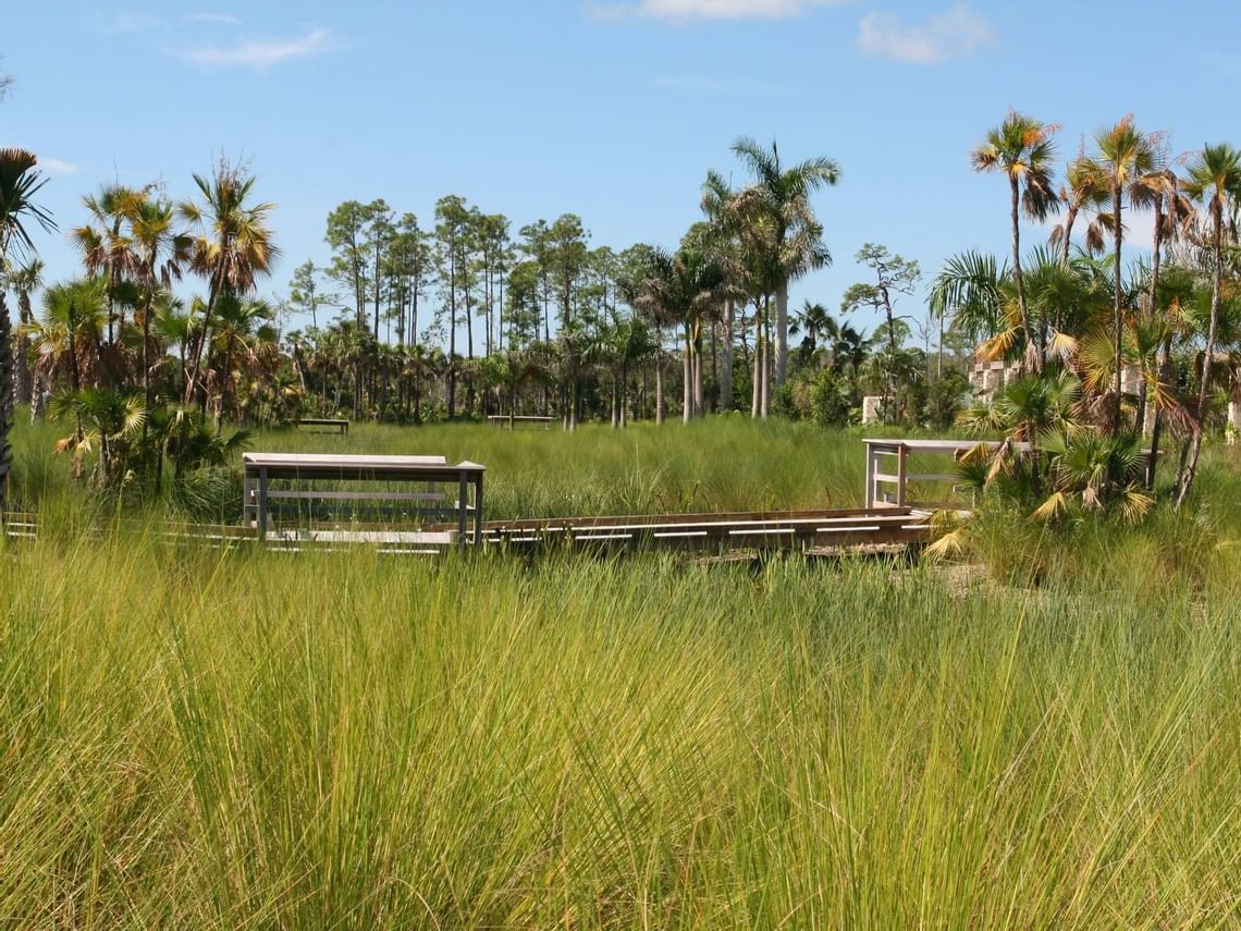 Naples Botanical Gardens Innovation Hotel Naples FL