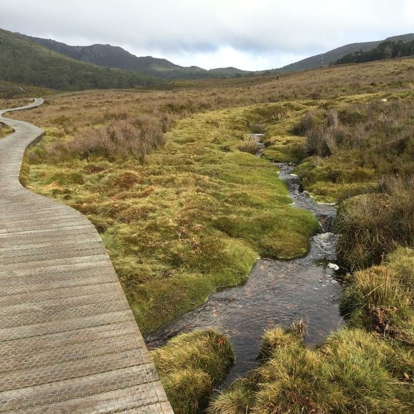 Trail at Ronny Creek area near Cradle Mountain Hotel