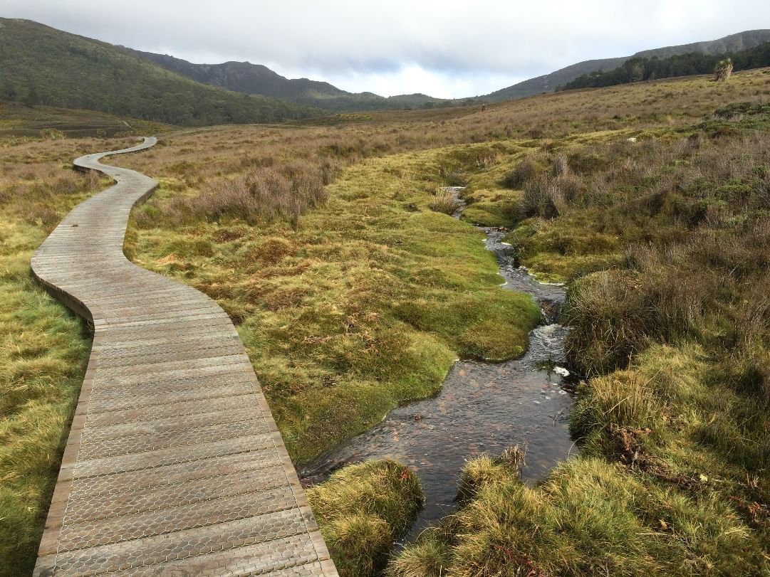 Trail at Ronny Creek area near Cradle Mountain Hotel