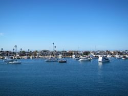 Newport Harbor