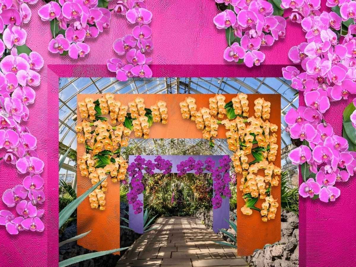 NY Botanical Garden Orchid Show