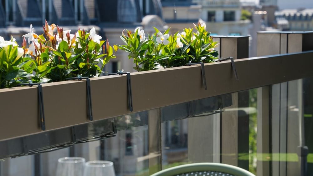 Table dressée avec vue sur la Tour Eiffel et les toits parisiens à la Terrasse Le W du Warwick Paris Champs-Elysées