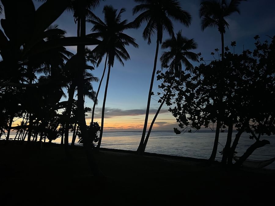 Sunset over ocean with palm trees silhouette at Tambua Sands Beach Resort Fiji.