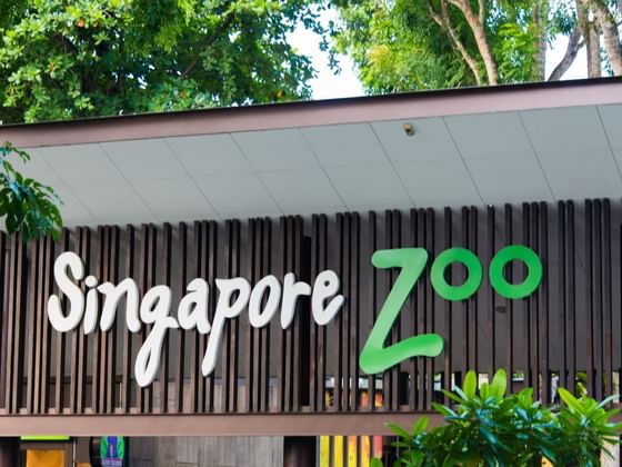Entrance of the Singapore Zoo with the sign board near Paradox Singapore