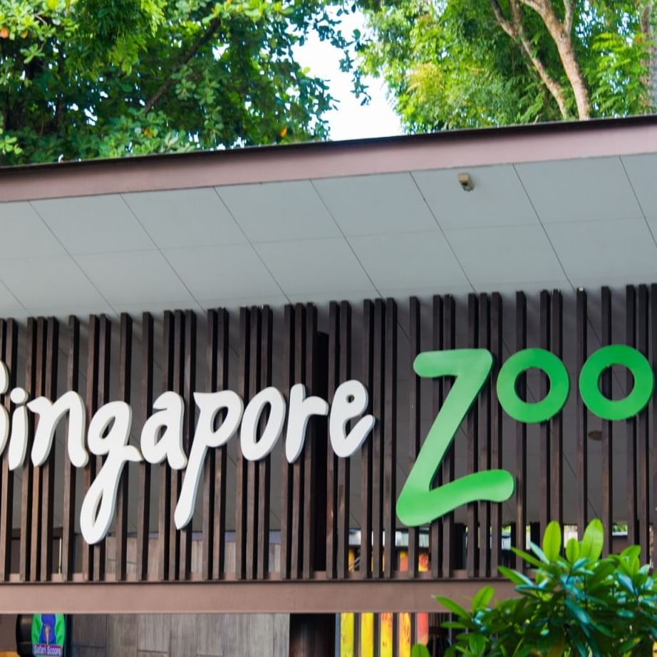 Official logo of Singapore Zoo near Paradox Singapore