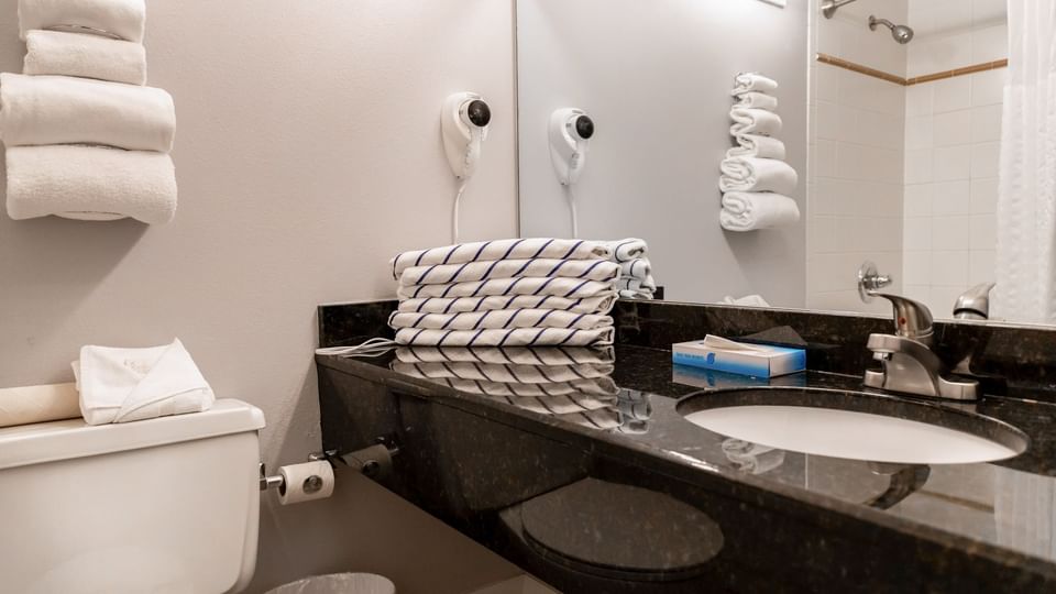 One-Bedroom Plus Loft Suite